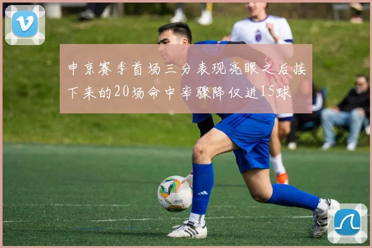 申京赛季首场三分表现亮眼之后接下来的20场命中率骤降仅进15球